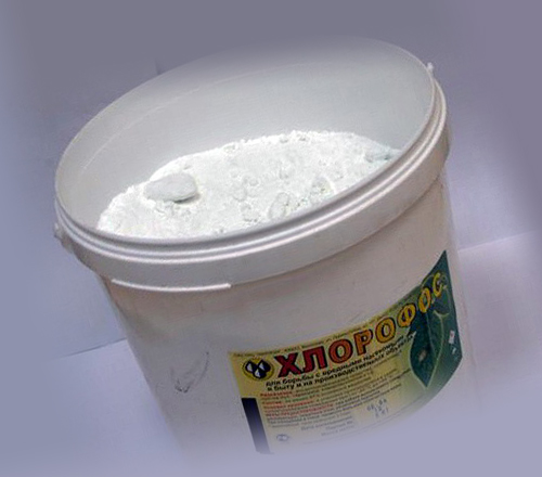 4-mozhno-li-primenyat-hlorofos-ot-klopov-osobennosti-preparata
